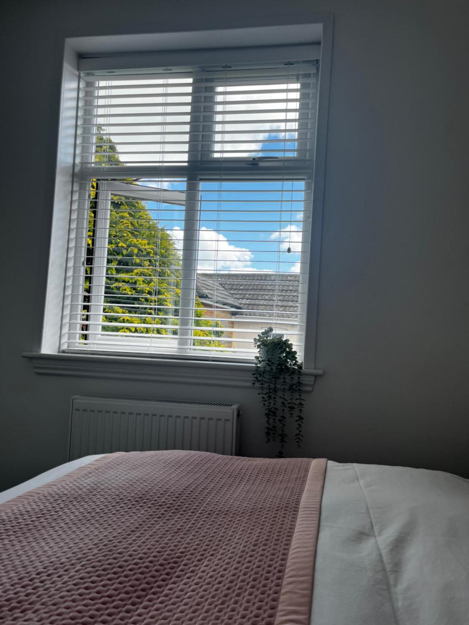 Newly Renovated 3 Bedroom Victorian Detached House ボーンマス エクステリア 写真